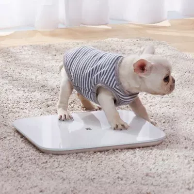 Pametna tehtnica XIAOMI Mi Smart Scale 2, bela