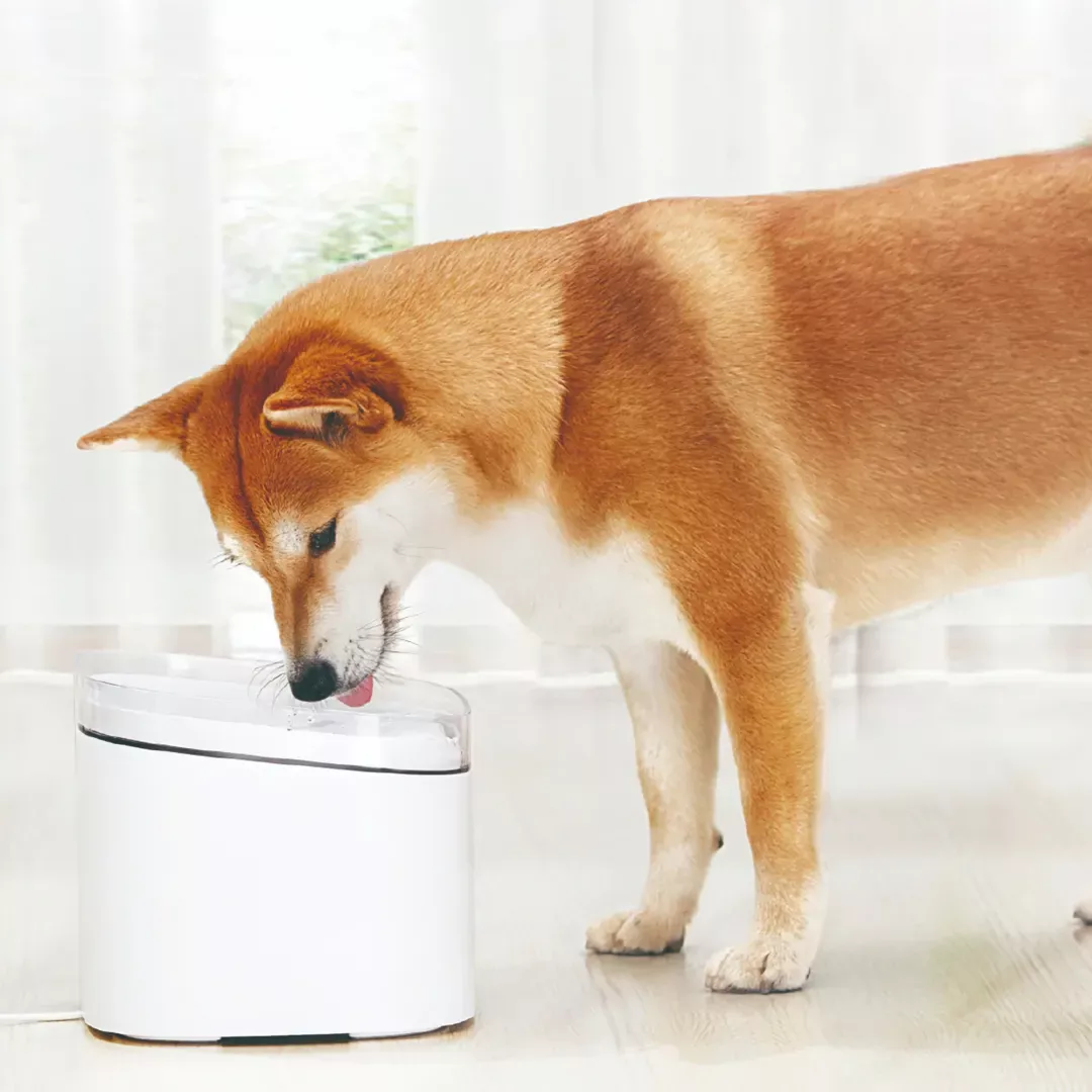 Pametna pojilica za hišne ljubljenčke XIAOMI Smart Pet Fountain, WiFi, bela