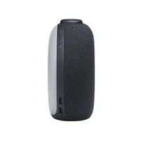 Bluetooth radio JBL Horizon 2, črn (JBLHORIZON2BLKEU)