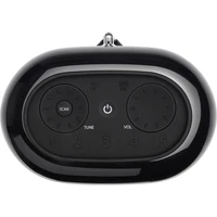 Bluetooth zvočnik/radio JBL Tuner XL, črn (JBLTUNERXLBLKEU)