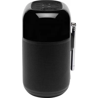 Bluetooth zvočnik/radio JBL Tuner XL, črn (JBLTUNERXLBLKEU)