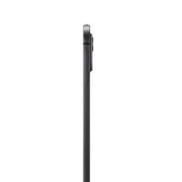 Tablet APPLE iPad Pro (2024) 13", 2TB, M4, Standardno steklo, Space Black (MVX83)